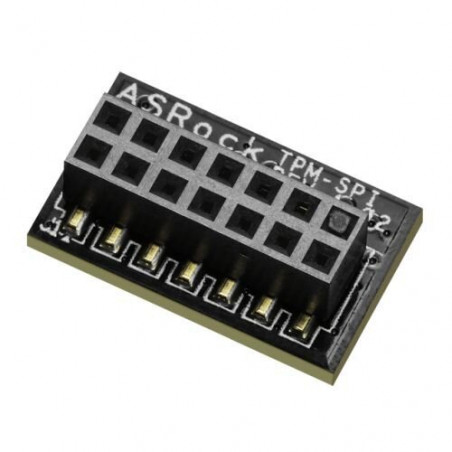 ASROCK TPM-SPI TPM 2.0 Module