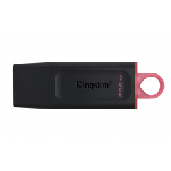 Kingston DataTraveler Exodia 256GB USB 3.2 Gen 1 Flash Drive