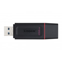 Kingston DataTraveler Exodia 256GB USB 3.2 Gen 1 Flash Drive