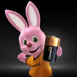 DURACELL MN1300B2PP Plus Power Alkaline D Batteries (2 Pack)