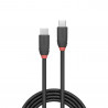 LINDY 36906 USB 3.2 Type-C to Type-C Cable, 1m