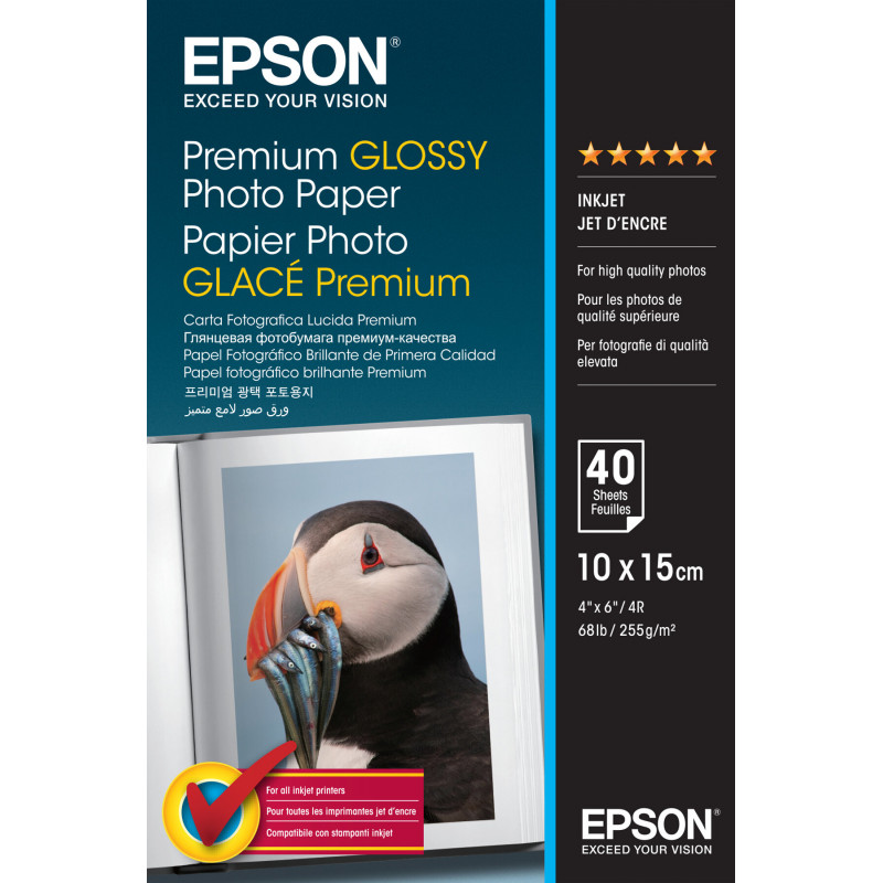EPSON C13S042153 255gsm 10x15cm Glossy Photo Paper