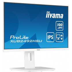 IIYAMA XUB2492HSU-W6 24" Full HD 100Hz IPS Monitor
