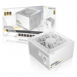 ANTEC GSK ATX3.1 850W 80+ Gold Full Modular Power Supply