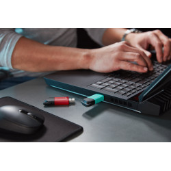Kingston DataTraveler ExodiaM DTXM/128GB 128GB USB 3.2 Flash Drive