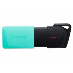 Kingston DataTraveler ExodiaM DTXM/256GB 256GB USB Flash Drive