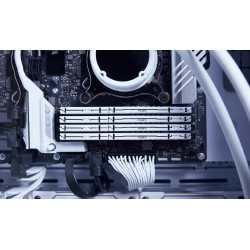 Kingston Fury Beast KF560C36BWE2K2 32GB (16GBx2) DDR5 6000MHz DIMM RGB RAM