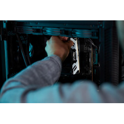 Kingston FURY Renegade 32GB DDR5 7200MHz DIMM Kit