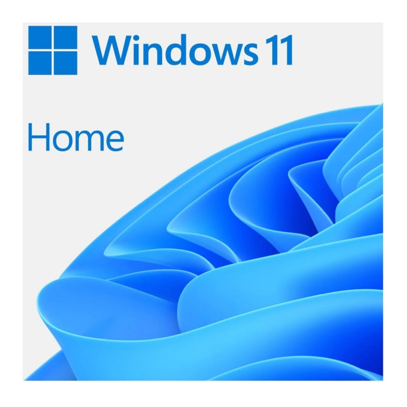 Microsoft Windows 11 Home 64-bit USB Flash Drive