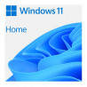Microsoft Windows 11 Home 64-bit USB Flash Drive