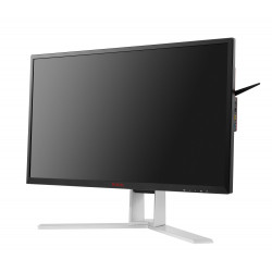 AOC AG251FG 24.5" TN Monitor