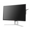 AOC AG251FG 24.5" TN Monitor
