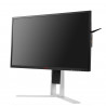 AOC AG251FG 24.5" TN Monitor