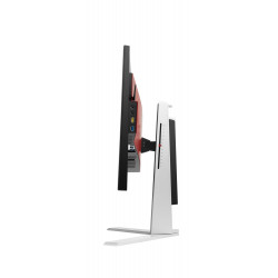 AOC AG251FG 24.5" TN Monitor