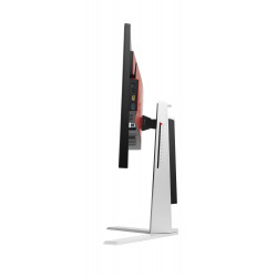 AOC AG251FG 24.5" TN Monitor