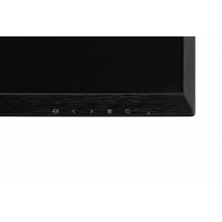 AOC AG251FG 24.5" TN Monitor