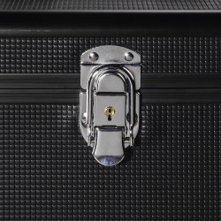 HAMA 00181436 50 LP Case
