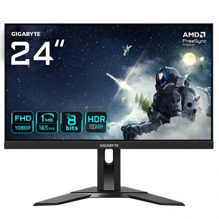 GIGABYTE G24F 2 23.8" IPS Monitor