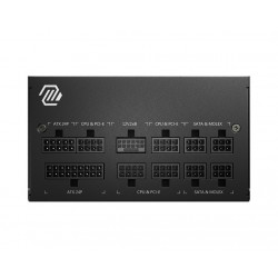MSI MAG A750GL 750W Gold Fully Modular PCIE5 Power Supply