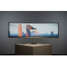 PHILIPS 49M2C8900/00 49" OLED Monitor