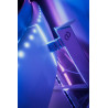 PHILIPS 49M2C8900/00 49" OLED Monitor