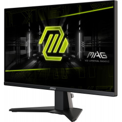 MSI MAG 255F E20 24.5" IPS Monitor