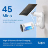 TP-LINK TAPO A201 2.5W Solar Panel with 4m Cable