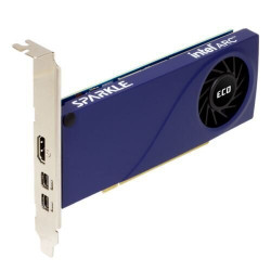SPARKLE SA310C-4G 4GB DDR6 Graphics Card
