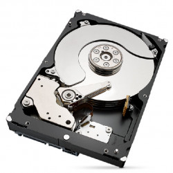 Seagate IronWolf Pro 6TB 7200RPM 256MB Cache SATA HDD