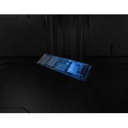 Kingston Fury Renegade 5 1TB PCIe 5.0 NVMe SSD