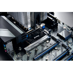 KINGSTON Fury Renegade 5 2TB PCIe 5.0 NVMe M.2 SSD