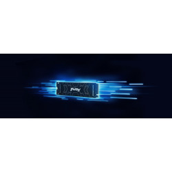 KINGSTON Fury Renegade 2TB NVMe PCIe 4.0 SSD