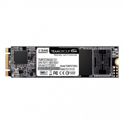 TEAM MS30 256GB M.2 SATA SSD