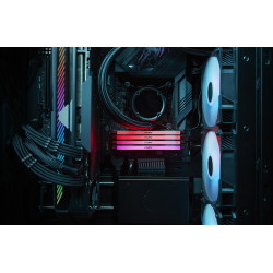 Kingston Fury Renegade RGB 64GB DDR5-6400 CL32 1.4V ECC XMP 3.0 DIMM Kit