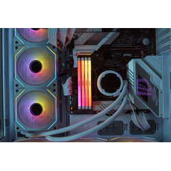 Kingston Fury Renegade RGB 64GB DDR5-6400 CL32 1.4V ECC XMP 3.0 DIMM Memory Kit