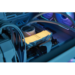 Kingston Fury Renegade RGB 64GB DDR5-6400 CL32 1.4V ECC XMP 3.0 DIMM Memory Kit