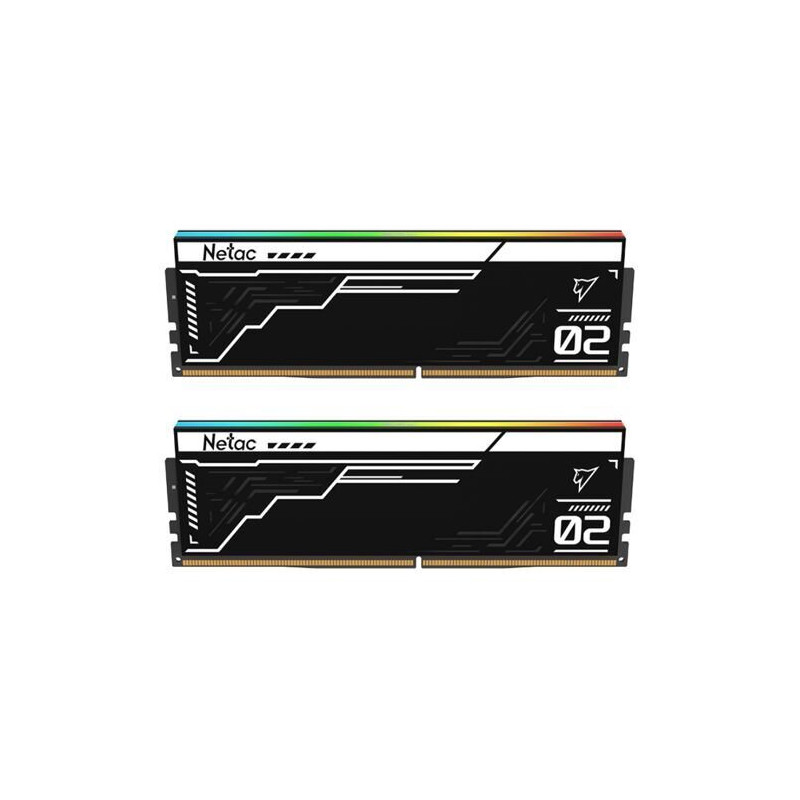 NETAC NTS2D5P56DP-32K 32GB (2x16GB) DDR5 5600MHz CL40 ECC DIMM