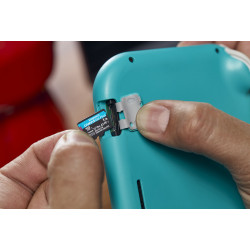 Kingston Canvas Go! Plus 1TB microSDXC Card with Adapter