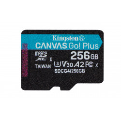 Kingston Canvas Go! Plus 256GB MicroSDXC Card