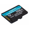 Kingston Canvas Go! Plus 256GB MicroSDXC Card