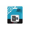 Kingston Canvas Go! Plus 256GB MicroSDXC Card