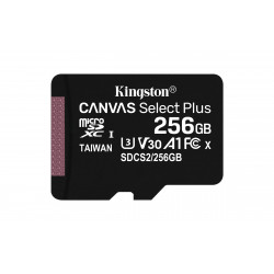 Kingston Canvas Select Plus 256GB microSDXC Card