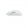 ASUS ROG Harpe Ace Mini Wireless Gaming Mouse