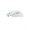 ASUS ROG Harpe Ace Mini Wireless Gaming Mouse