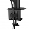 ARCTIC X1-3D Single Gas Spring Monitor Arm