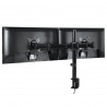 ARCTIC Z2 Basic Dual Monitor Arm