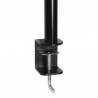 ARCTIC Z2 Basic Dual Monitor Arm