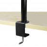 ARCTIC Z2 Basic Dual Monitor Arm