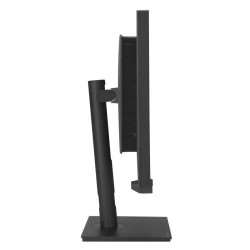 ASUS ProArt PA32UCXR 32" 4K UHD Mini LED IPS Monitor