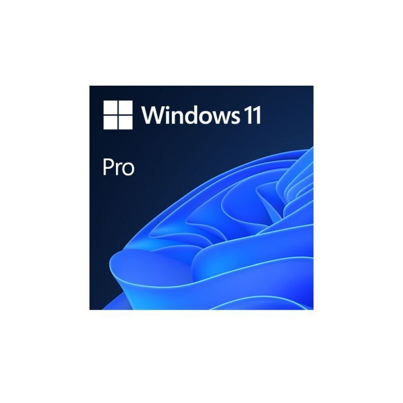 Microsoft Windows 11 Professional 64-bit OEM DVD